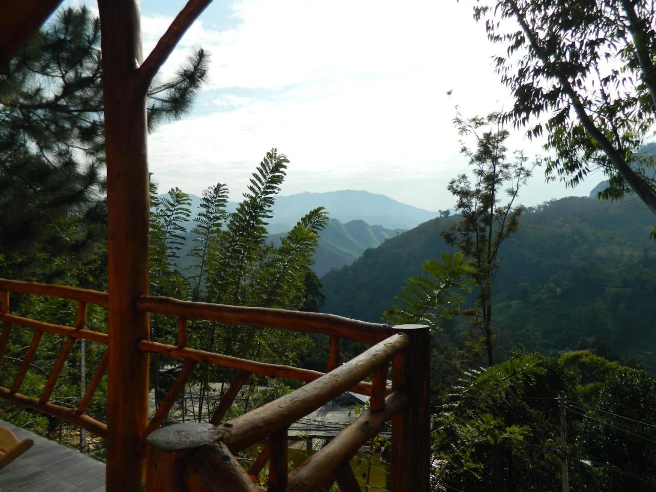Sunlit Cottage Ella Ngoại thất bức ảnh