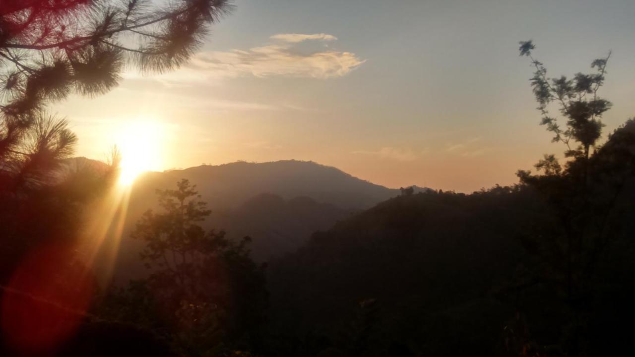 Sunlit Cottage Ella Ngoại thất bức ảnh